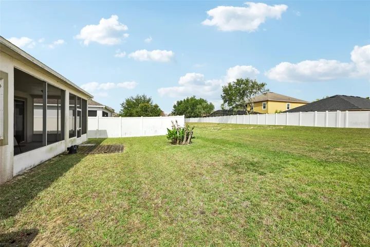 Backyard.