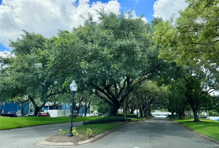 Tree-lined street inside the community