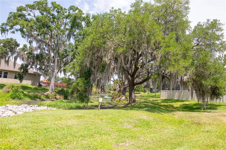 Majestic oak trees draped in Spanish moss frame the inlet.