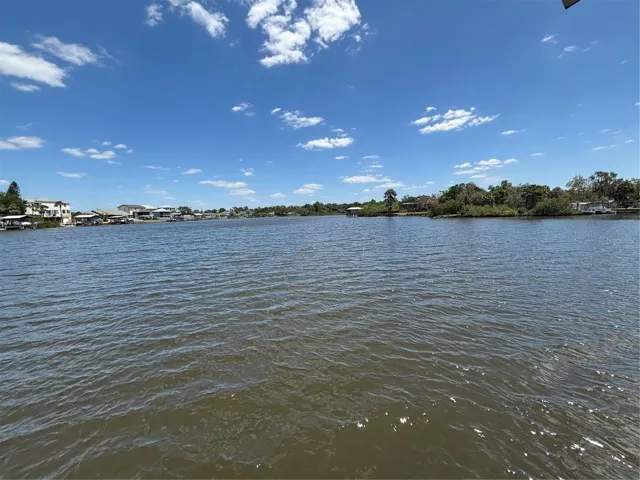 View of Alafia River.