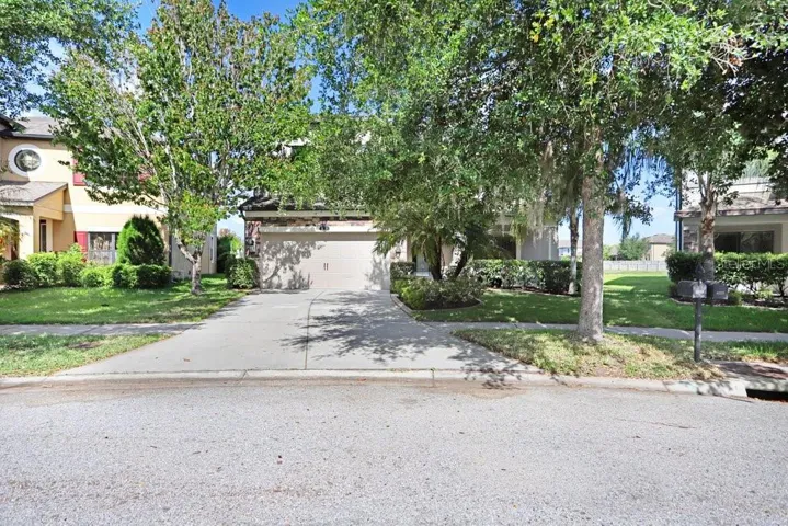 Mature Landscaping