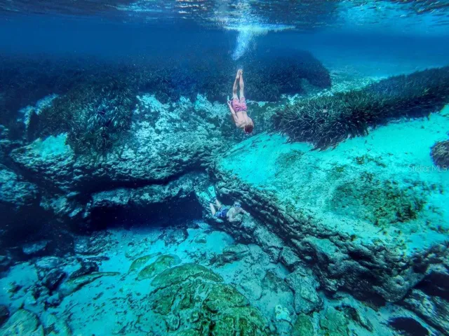 Alexander Springs