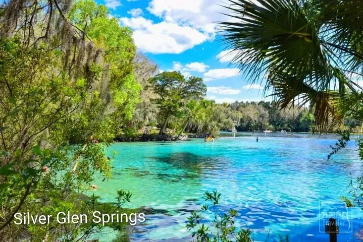 Silver Glen Springs