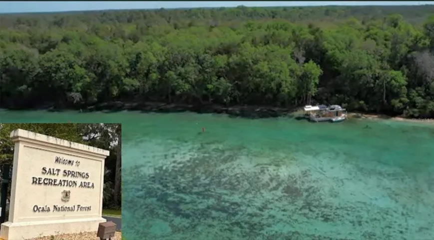 Salt Springs near by