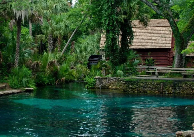 Juniper Springs