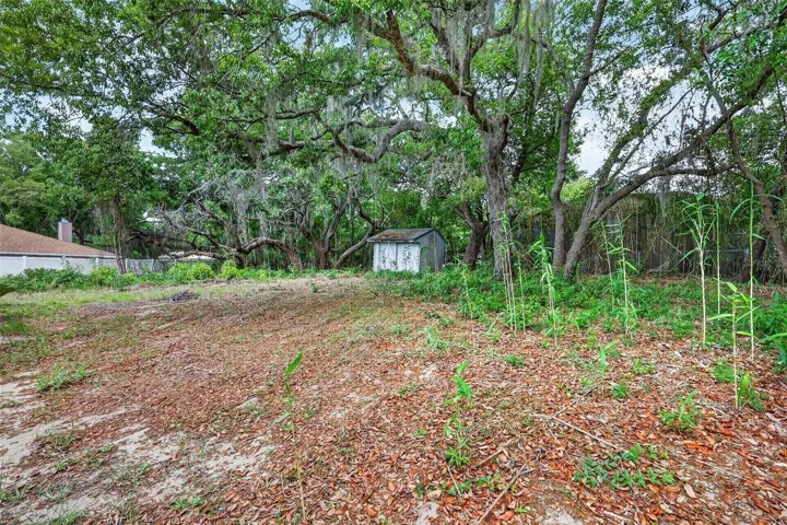 Large backyard with plenty of space for outdoor entertaining, gardening, pets, or simply relaxing.