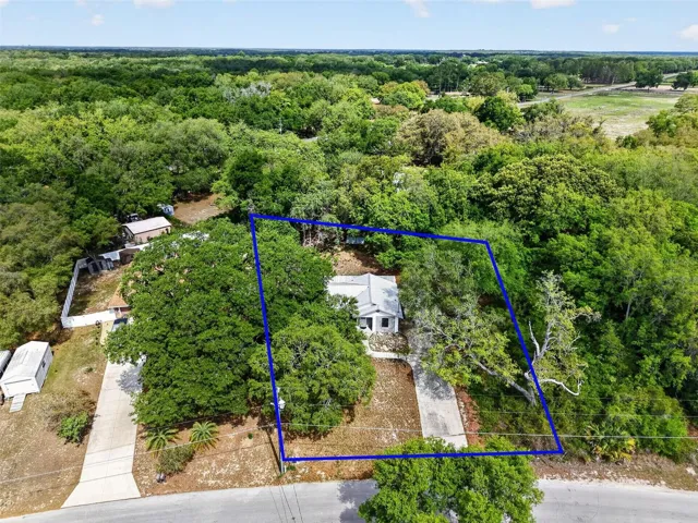 Property lines.