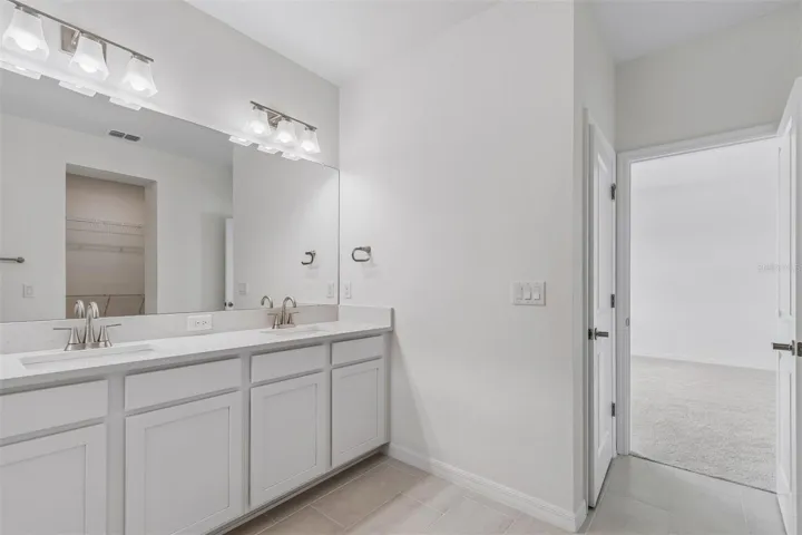 Owner's Bathroom