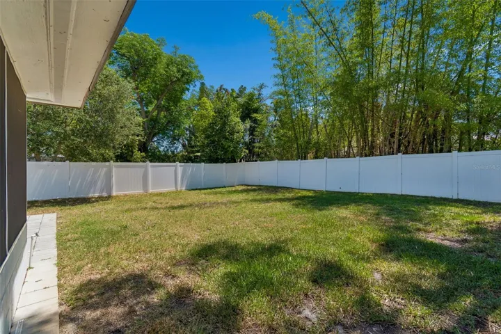 Huge Backyard