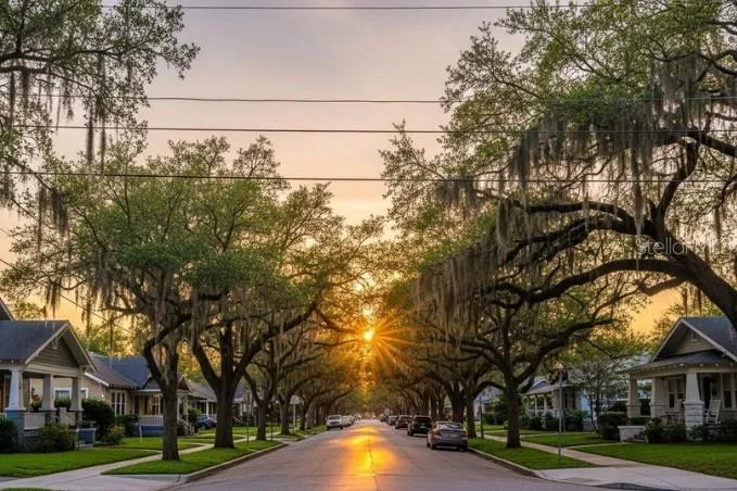 Beautiful Seminole Heights