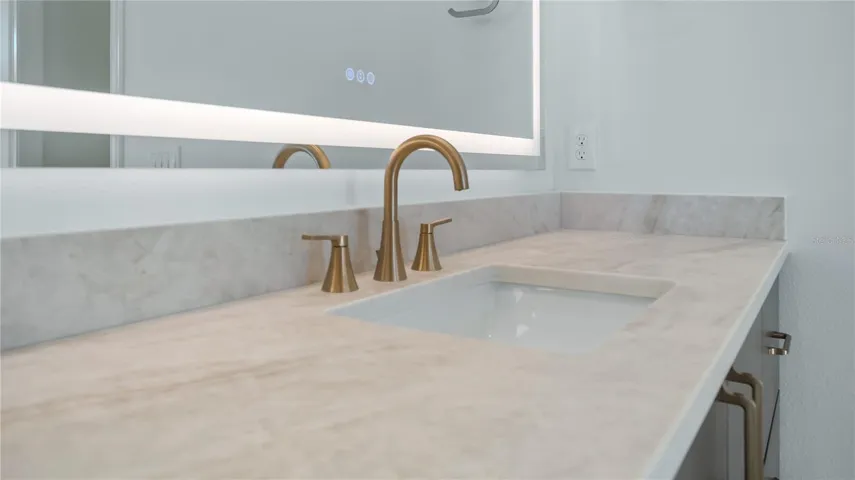 Primary Shower with lighted mirror