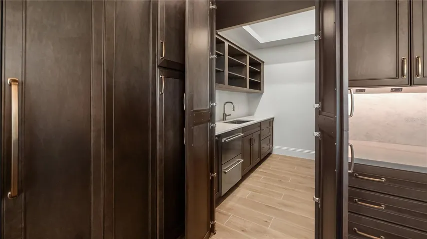 Hidden pantry