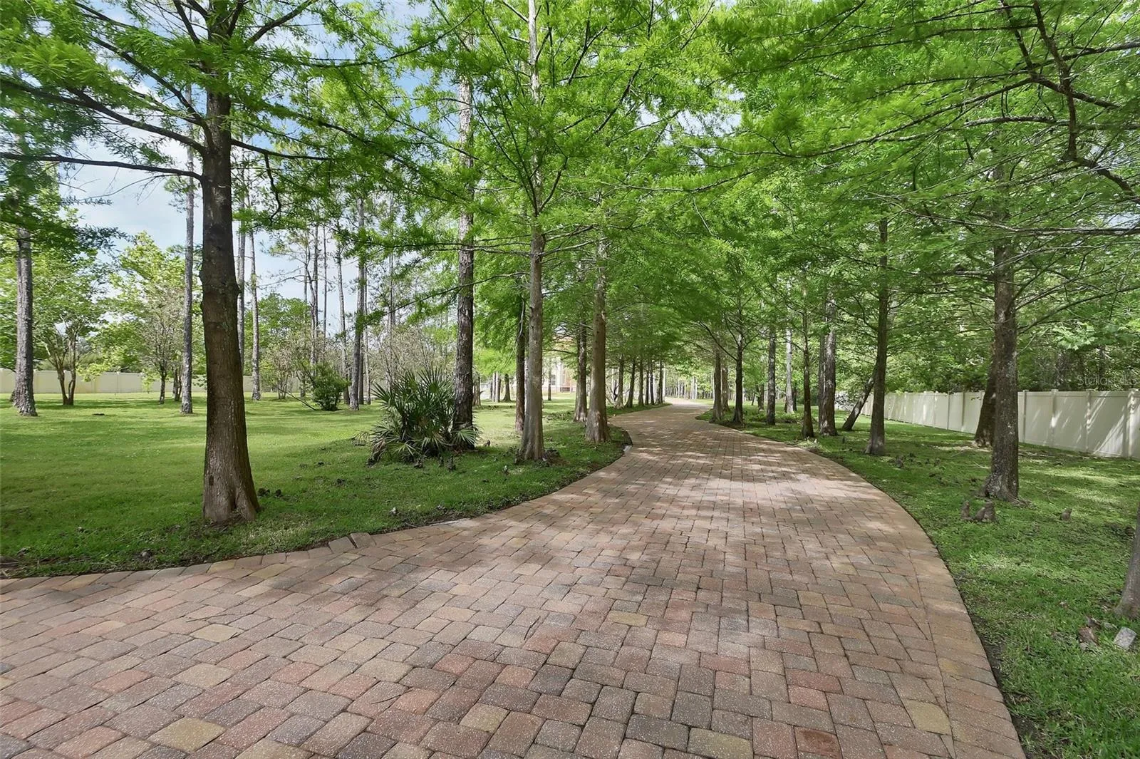 Tree-lined paver Drive