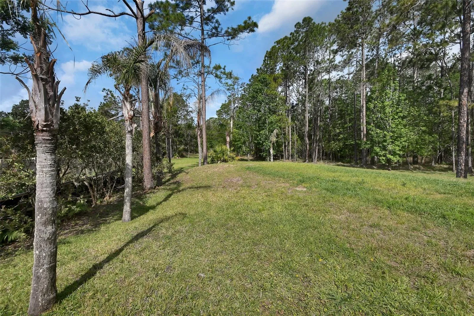 Large, expensive rear yard