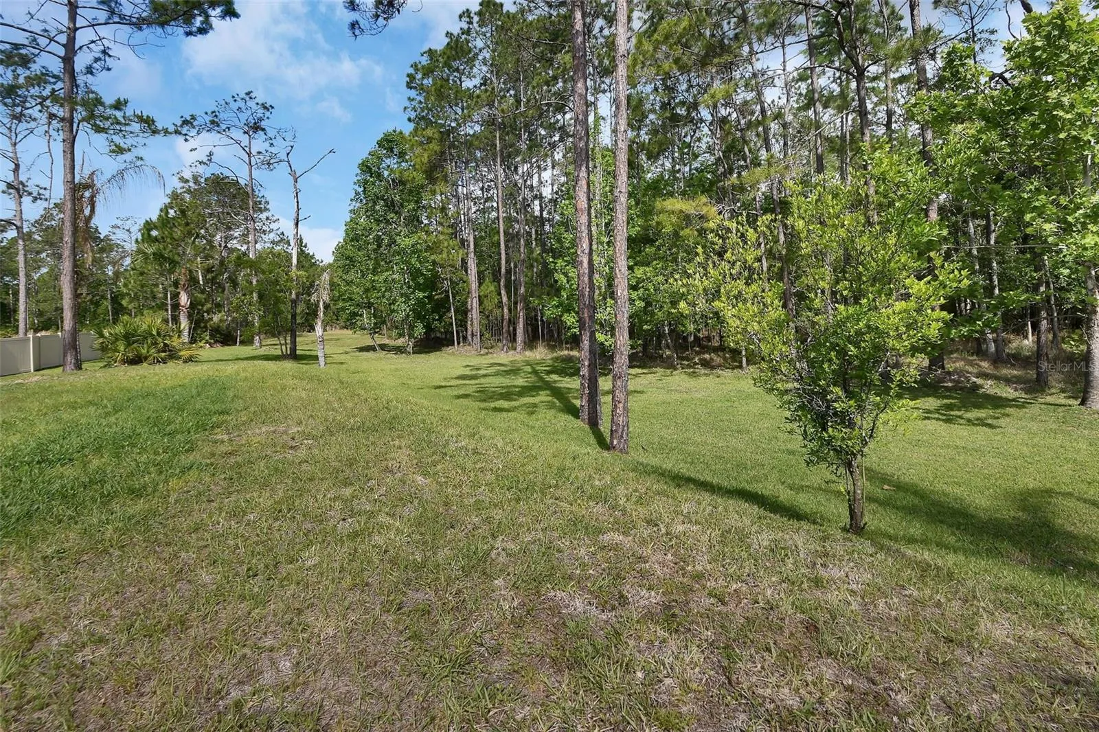Rear yard