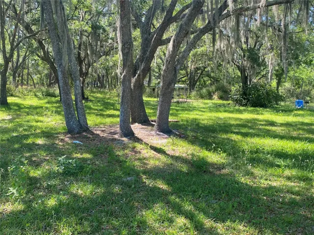Lots of oak trees on the property.