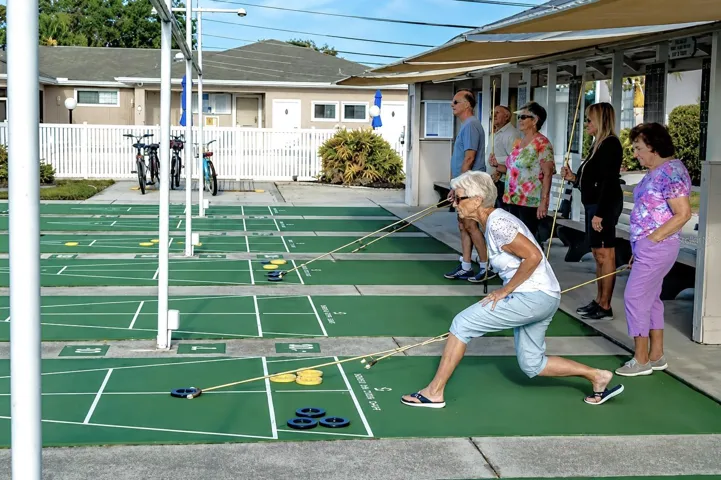 Shuffle Board