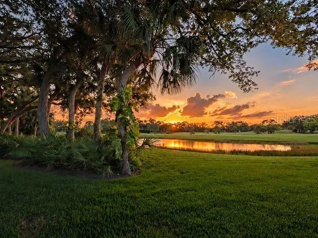 Your private sunset view