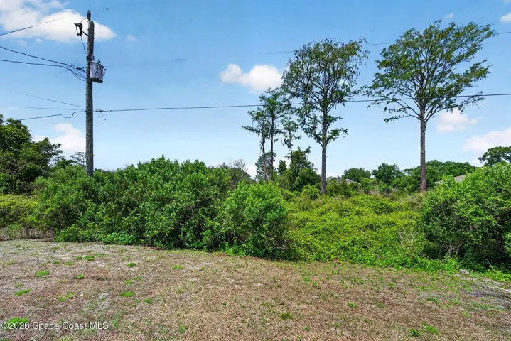 View behind home