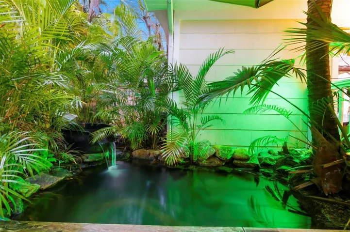 Back Patio Koi Pond