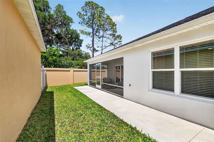 Expansive Side Patio
