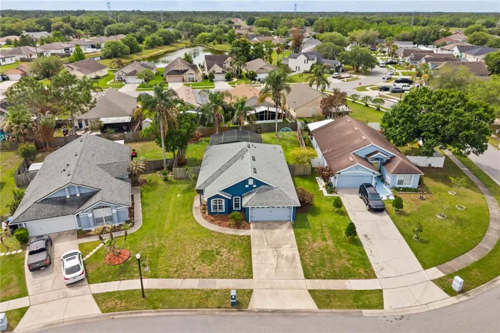 Aerial (1)