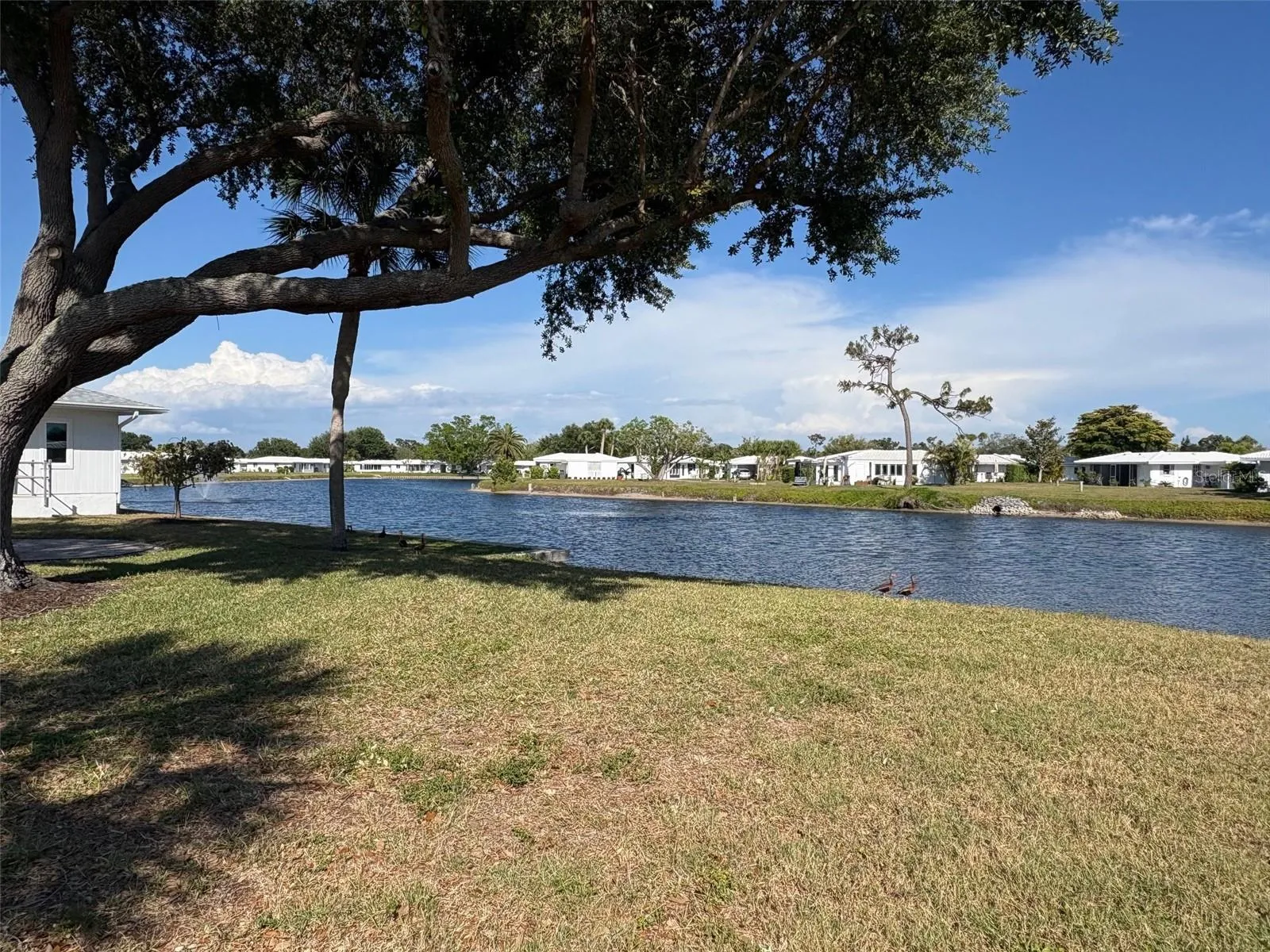 Grounds