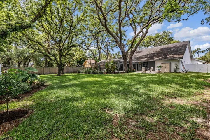 Sprawling yard!