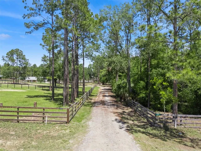 Driveway
