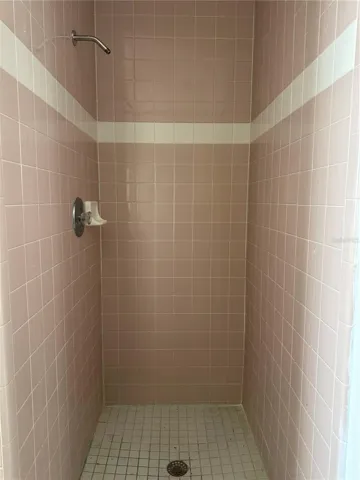 Primary Bathroom Walk in Shower