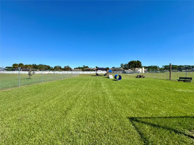 Dog Park Full View
