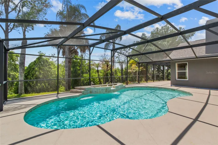 Saltwater Pool & beautiful backyard views