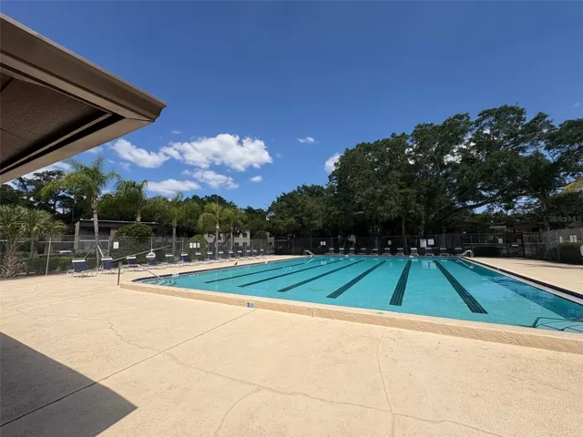 Community pool #2