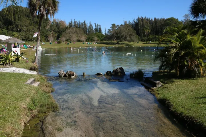 Warm Mineral Springs