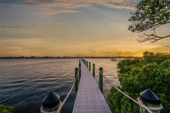 Shared Dock