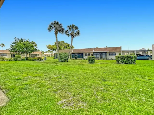 backyard view
