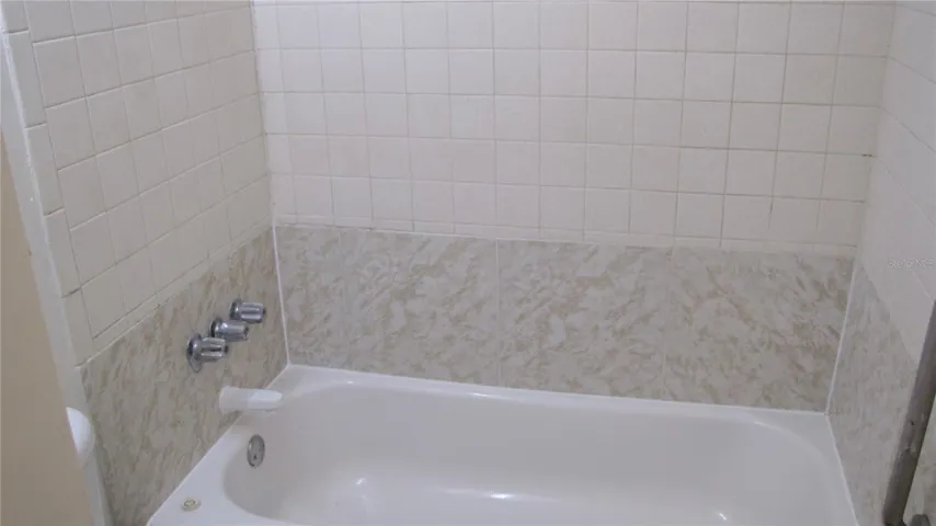 Tub with shower