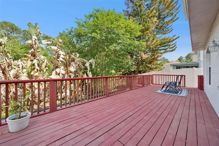 Backyard Deck