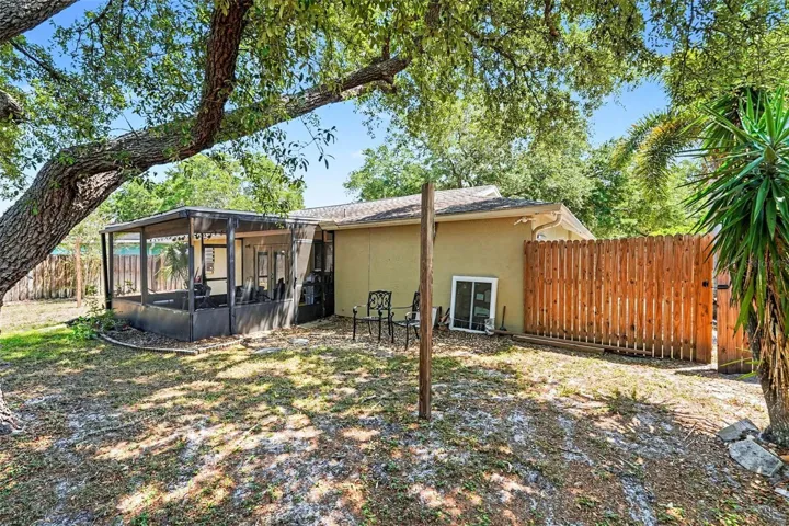 back yard