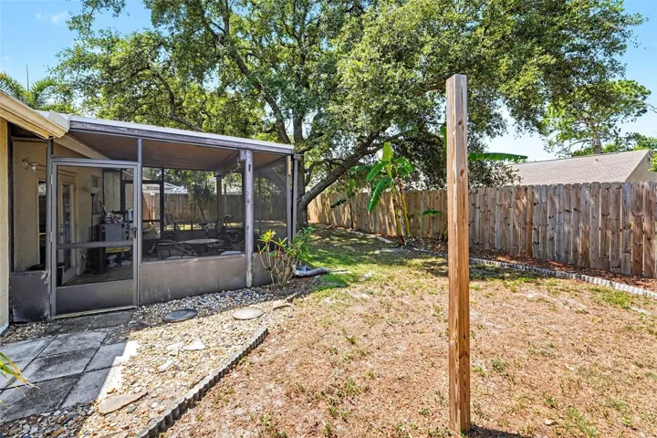 back yard