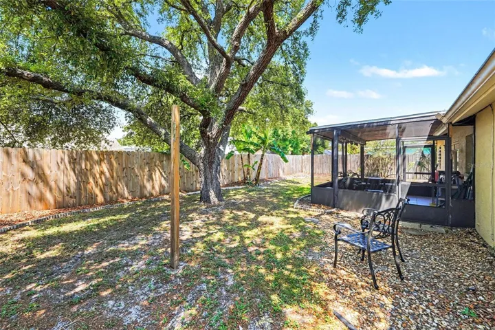 back yard