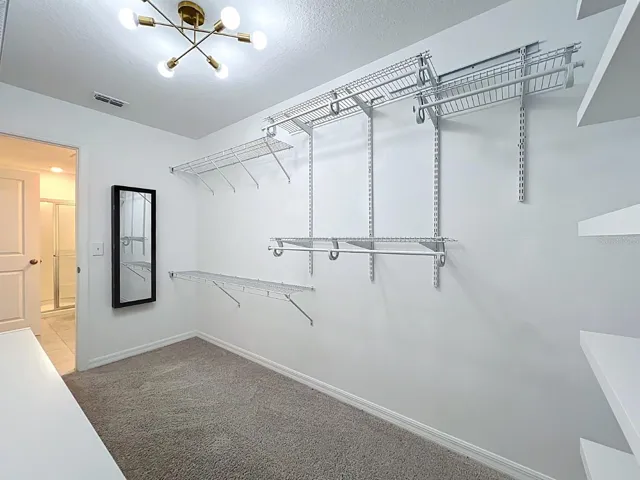 Primary WI Closet - 2