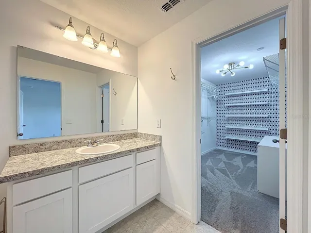 Primary Bathroom - 2