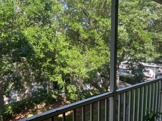 Porch View