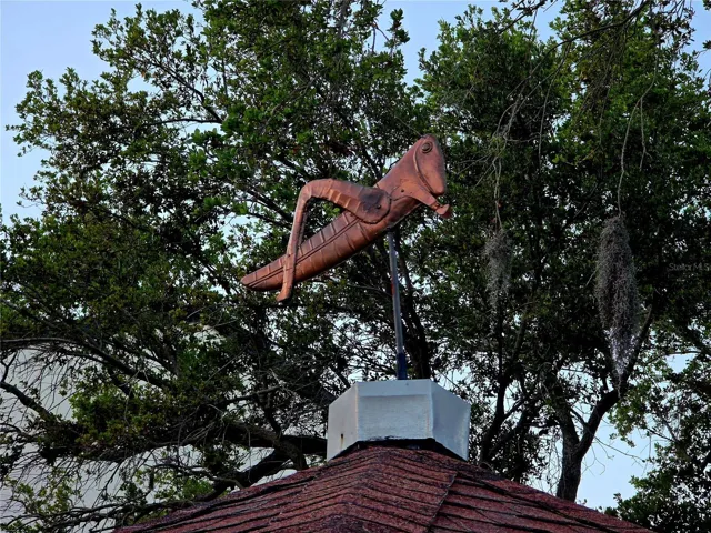 THE COPPER GRASHOPPER