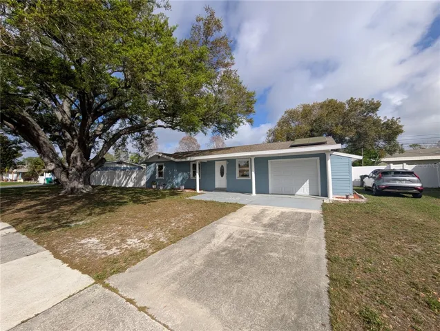 Large Driveway