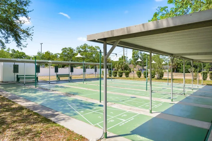 Community Shuffleboard