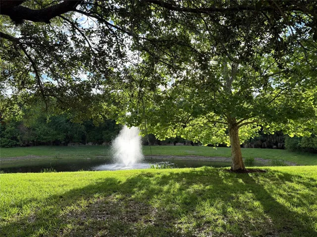 View Of Fountain And Pond From Unit 111