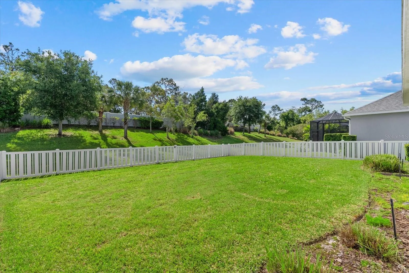 Fenced backyard