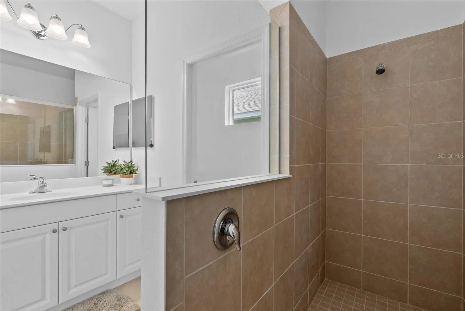 Walk-in shower